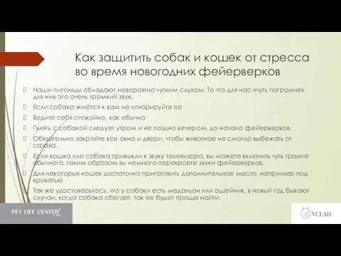 Как защитить собак и кошек от стресса во время новогодних фейерверков Наши