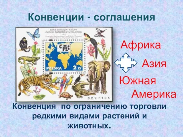 Конвенции - соглашения Конвенция по ограничению торговли редкими видами растений и животных. Африка Азия Южная Америка