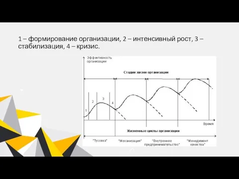 1 – формирование организации, 2 – интенсивный рост, 3 – стабилизация, 4 – кризис.