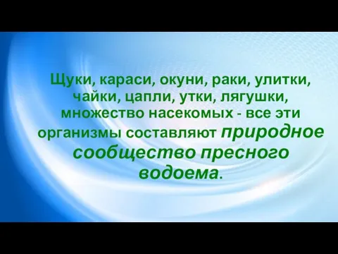 Щуки, караси, окуни, раки, улитки, чайки, цапли, утки, лягушки, множество насекомых -