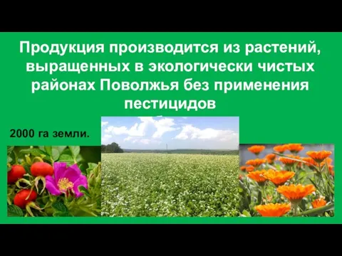 Продукция производится из растений, выращенных в экологически чистых районах Поволжья без применения