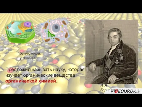 белки, жиры, углеводы Й. Я. Берцелиус Предложил называть науку, которая изучает органические вещества органической химией.