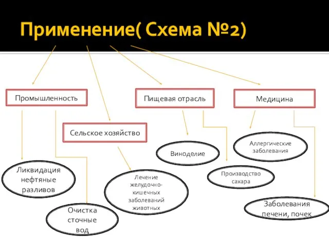 Применение( Схема №2) Промышленность Сельское хозяйство Пищевая отрасль Медицина Ликвидация нефтяные разливов