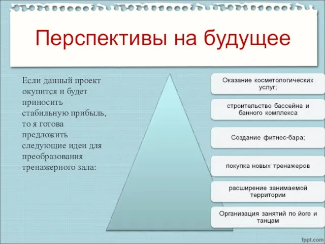 Перспективы на будущее Если данный проект окупится и будет приносить стабильную прибыль,