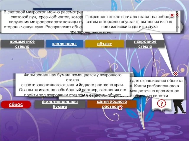 устройство микроскопа приготовление микропрепарата 1 предметное стекло 2 капля воды 3 объект