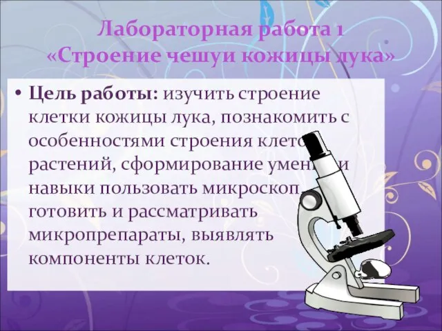 Лабораторная работа 1 «Строение чешуи кожицы лука» Цель работы: изучить строение клетки