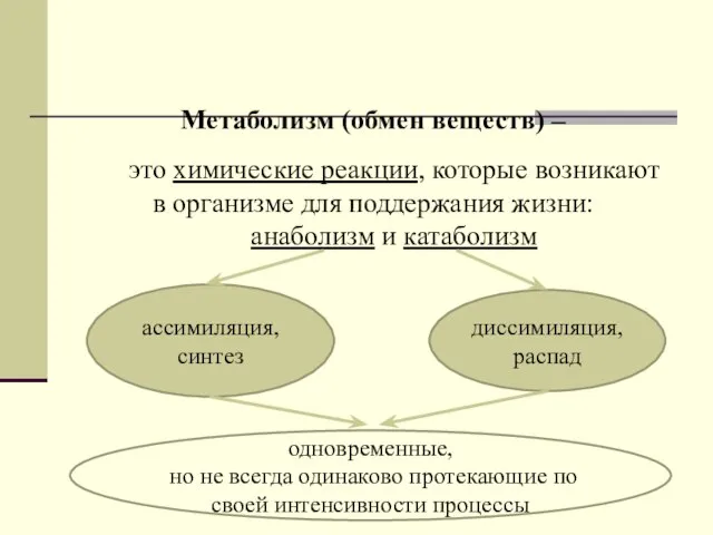 Метаболизм (обмен веществ) – это химические реакции, которые возникают в организме для