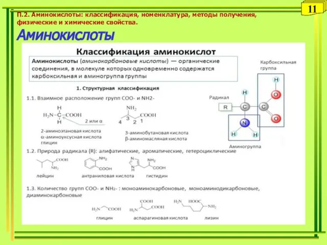 П.2. Аминокислоты: классификация, номенклатура, методы получения, физические и химические свойства. Аминокислоты 11