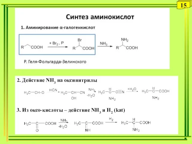 2. Действие NH3 на оксинитрилы 3. Из оксо-кислоты – действие NH3 и H2 (kat) 15