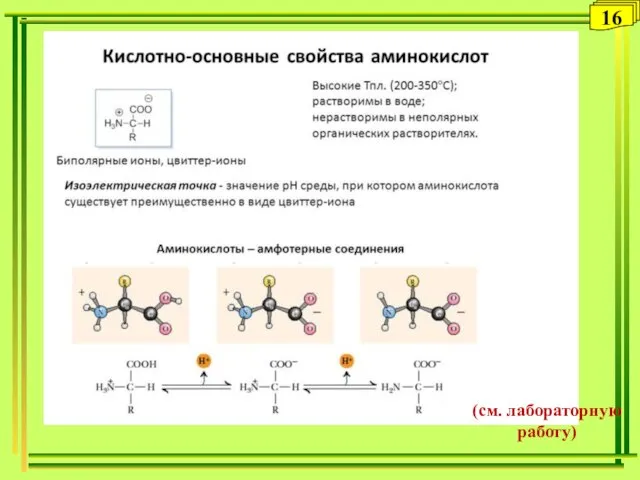 16 (см. лабораторную работу)