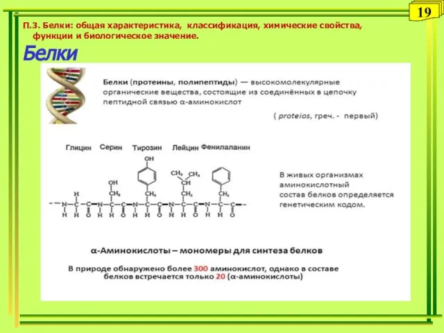 П.3. Белки: общая характеристика, классификация, химические свойства, функции и биологическое значение. Белки 19