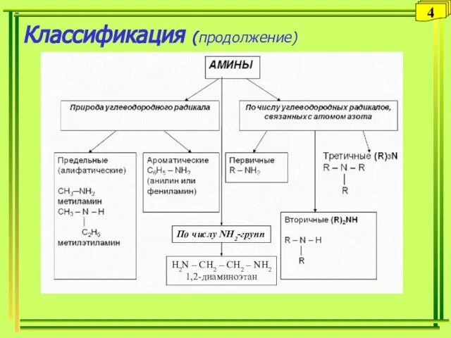 Классификация (продолжение) 4 По числу NH2-групп H2N – CH2 – CH2 – NH2 1,2-диаминоэтан