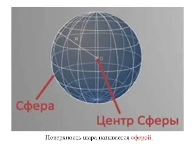 Поверхность шара называется сферой.