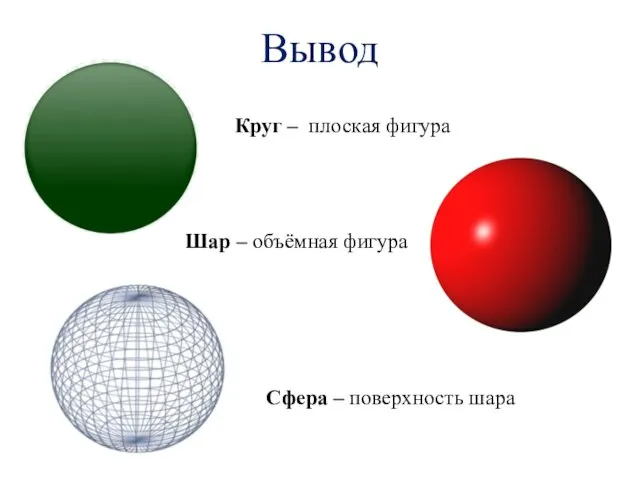 Вывод Шар – объёмная фигура Сфера – поверхность шара Круг – плоская фигура