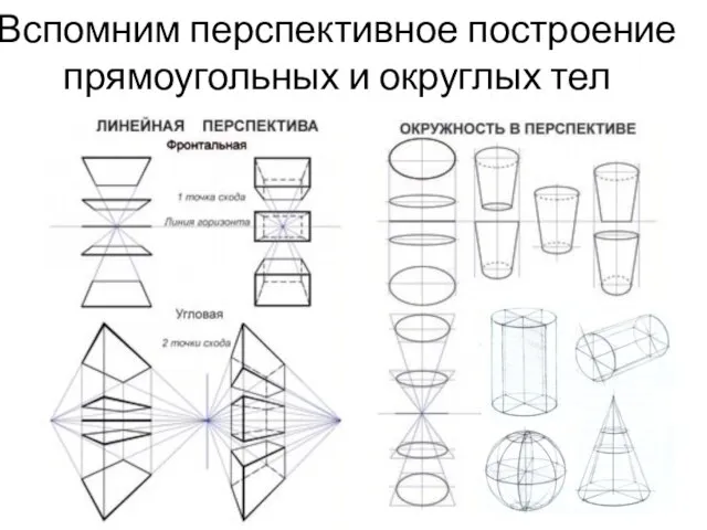 Вспомним перспективное построение прямоугольных и округлых тел