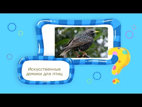 Искусственные домики для птиц