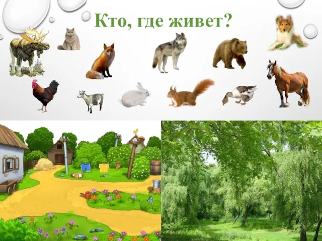 Кто, где живет?