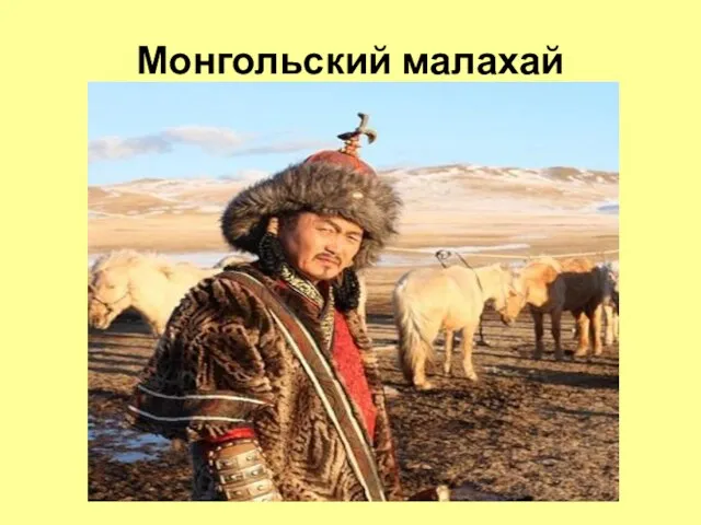 Монгольский малахай