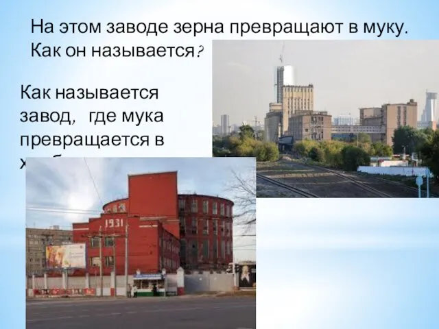 На этом заводе зерна превращают в муку. Как он называется? Как называется