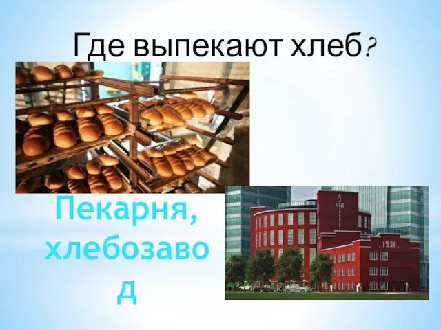 Где выпекают хлеб? Пекарня, хлебозавод