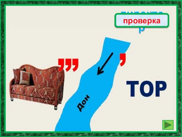 директор проверка