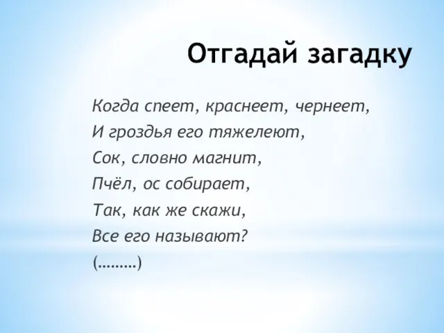 Отгадай загадку Когда спеет, краснеет, чернеет, И гроздья его тяжелеют, Сок, словно