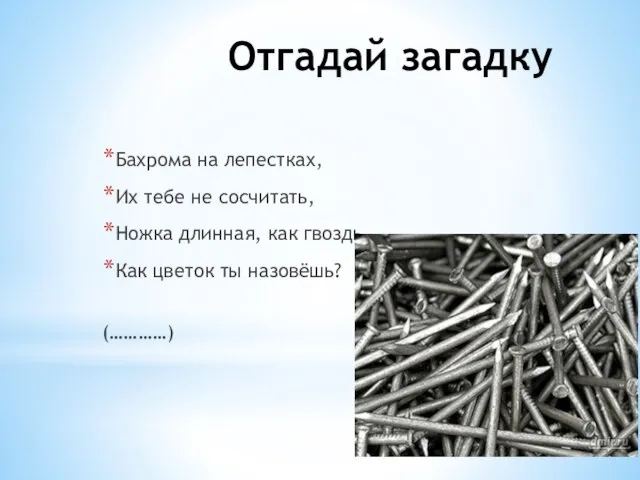 Отгадай загадку Бахрома на лепестках, Их тебе не сосчитать, Ножка длинная, как