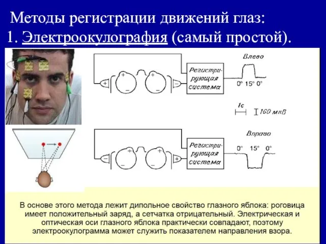 Методы регистрации движений глаз: 1. Электроокулография (самый простой).