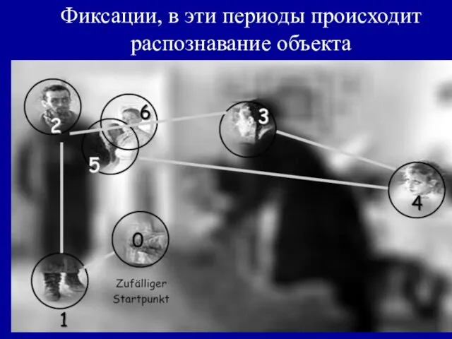 Фиксации, в эти периоды происходит распознавание объекта