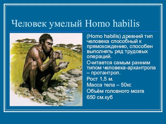 Человек умелый Homo habilis (Homo habilis) древний тип человека способный к прямохождению,