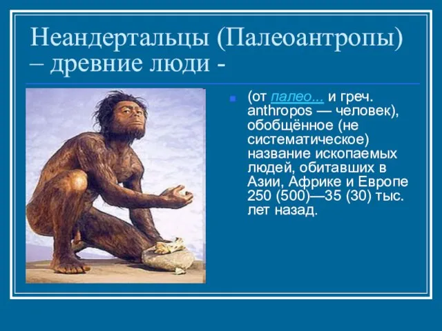 Неандертальцы (Палеоантропы) – древние люди - (от палео... и греч. anthropos —