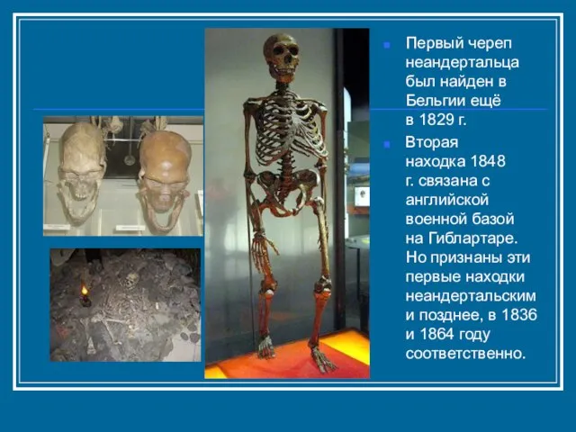 Первый череп неандертальца был найден в Бельгии ещё в 1829 г. Вторая