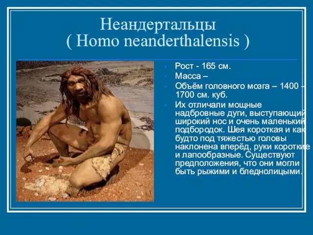 Неандертальцы ( Homo neanderthalensis ) Рост - 165 см. Масса – Объём