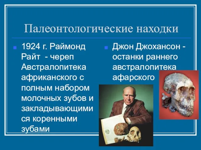 Палеонтологические находки 1924 г. Раймонд Райт - череп Австралопитека африканского с полным