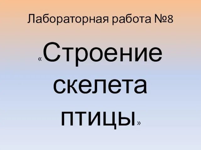 Лабораторная работа №8 «Строение скелета птицы»