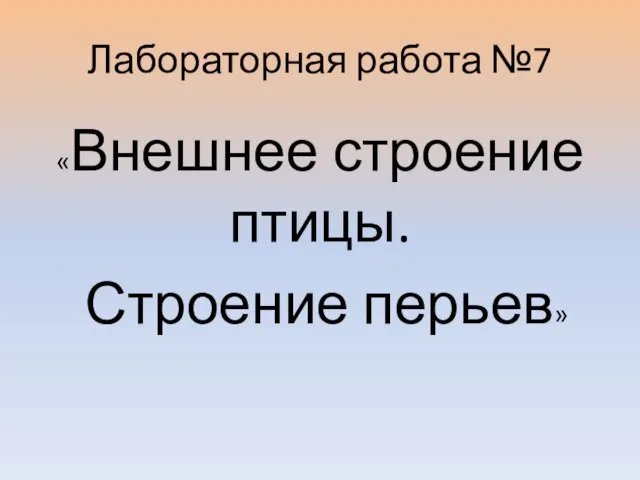 Лабораторная работа №7 «Внешнее строение птицы. Строение перьев»