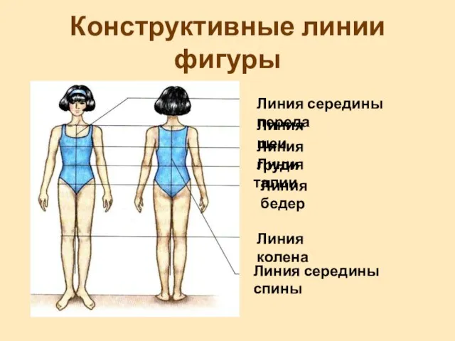 Конструктивные линии фигуры Линия шеи Линия груди Линия талии Линия бедер Линия