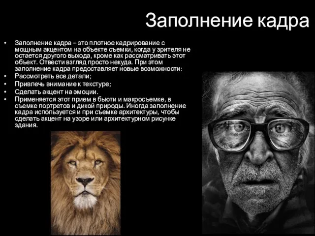 Заполнение кадра Заполнение кадра – это плотное кадрирование с мощным акцентом на