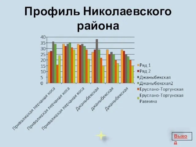 Профиль Николаевского района Выход