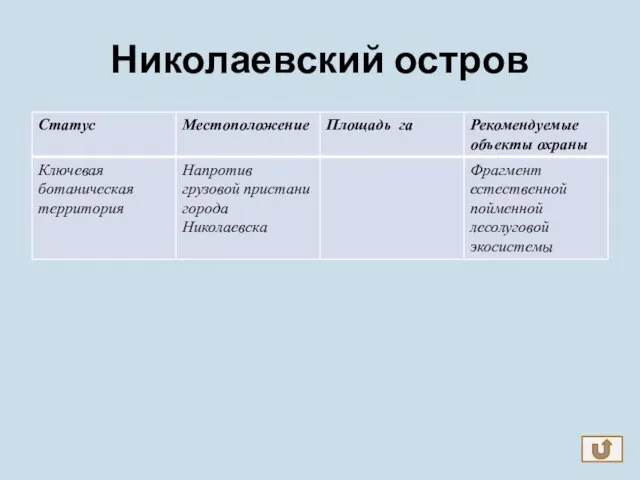 Николаевский остров