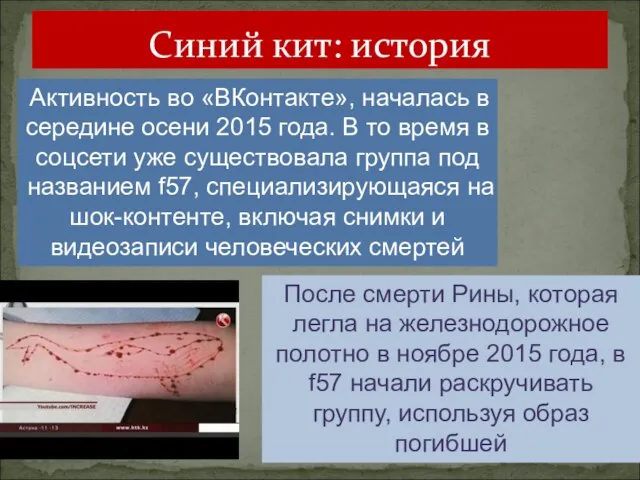 Синий кит: история Активность во «ВКонтакте», началась в середине осени 2015 года.