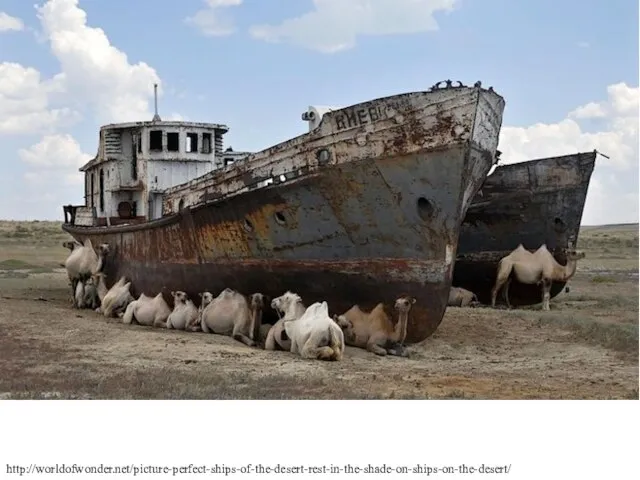 http://worldofwonder.net/picture-perfect-ships-of-the-desert-rest-in-the-shade-on-ships-on-the-desert/