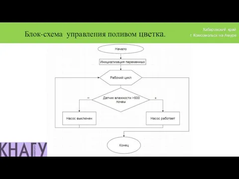 Блок-схема управления поливом цветка.