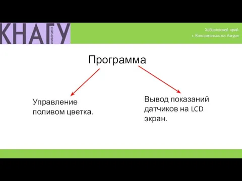 Программа Управление поливом цветка. Вывод показаний датчиков на LCD экран.