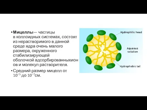 Мицеллы— частицы в коллоидных системах, состоят из нерастворимого в данной среде ядра