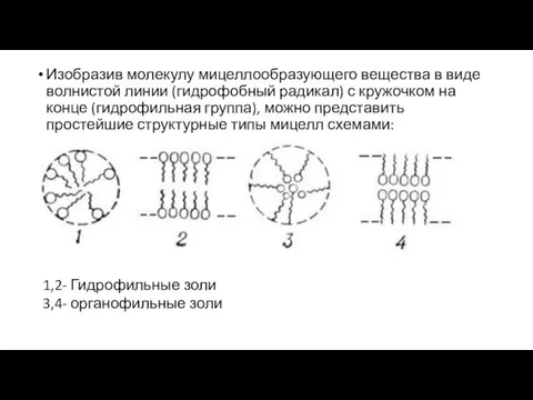 Изобразив молекулу мицеллообразующего вещества в виде волнистой линии (гидрофобный радикал) с кружочком