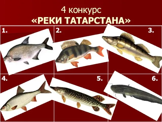 4 конкурс «РЕКИ ТАТАРСТАНА»