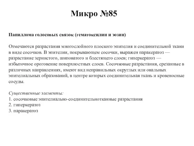 Микро №85 Папиллома голосовых связок (гематоксилин и эозин) Отмечаются разрастания многослойного плоского