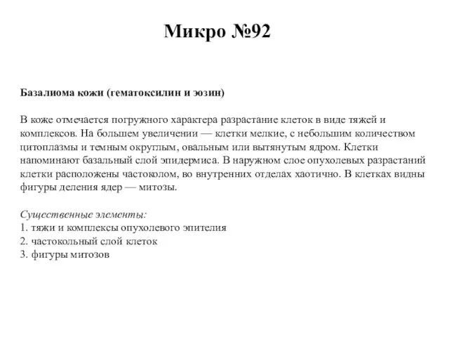 Микро №92 Базалиома кожи (гематоксилин и эозин) В коже отмечается погружного характера