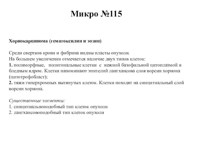 Микро №115 Хориокарцинома (гематоксилин и эозин) Среди свертков крови и фибрина видны